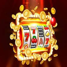 244bet